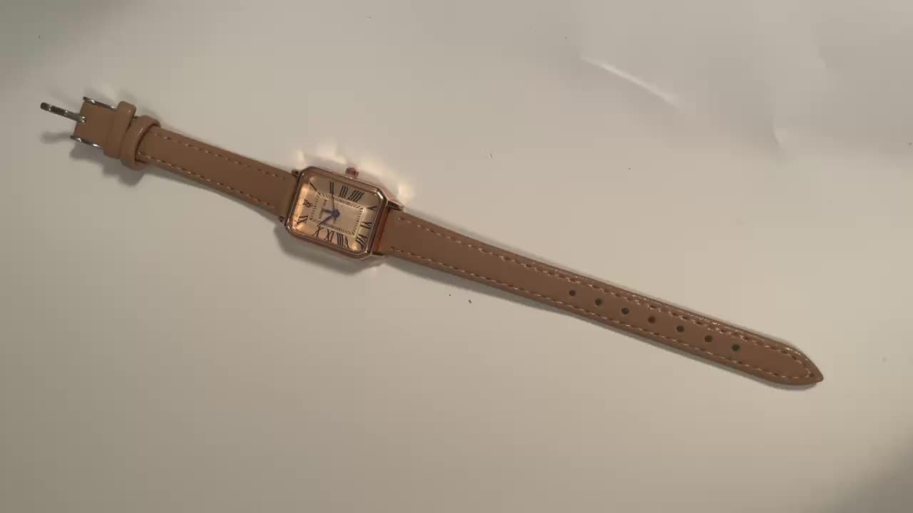 Ladies Square Roman Numeral Luxury Vintage Fashion Quartz Watch Fancy Women Watches Jewelry Sophisticated And Stylish Women Watch