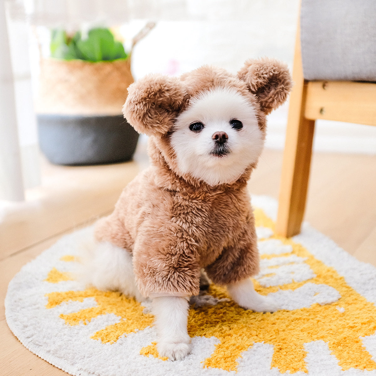 Pet Warm Teddy Bear Costume, Dog & Cat Pet Costumes